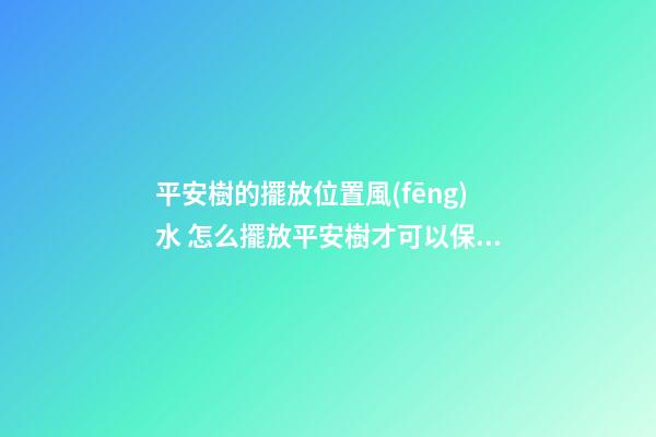 平安樹的擺放位置風(fēng)水 怎么擺放平安樹才可以保平安